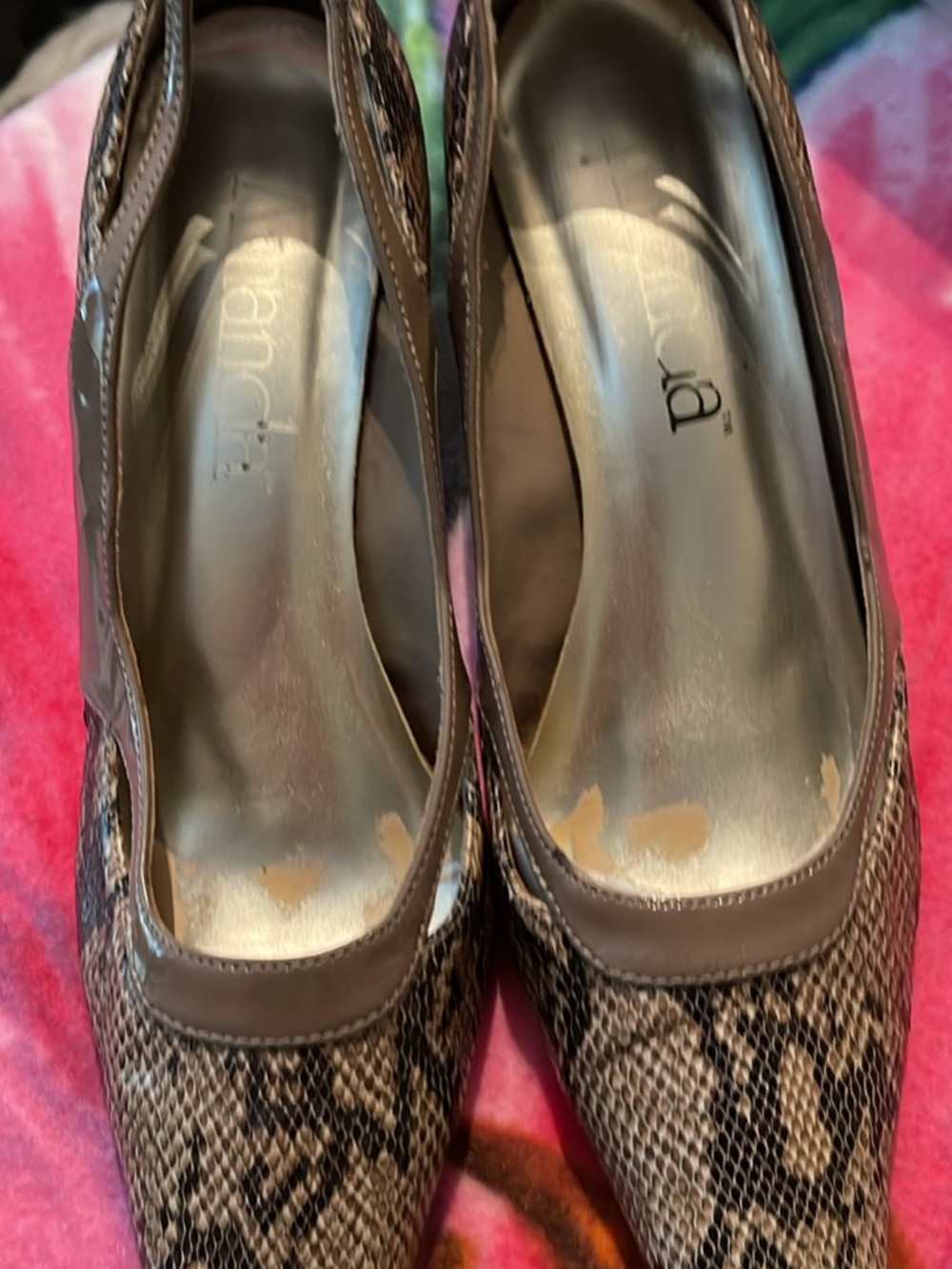 Women’s Brown Snake-Print Pointed Toe Pumps